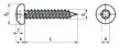 Hexalobular (6 Lobe) socket pan head tapping screws 38 mm