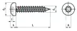 Hexalobular (6 Lobe) socket pan head tapping screws 38 mm
