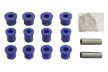 EFS polyurethane Rear Leaf Spring Bush kit for Volkswagen Amarok from 2009