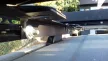 More4x4 Offroad střešní nosič pro - Toyota Land Cruiser J120 2002-2009