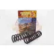 Terrain Tamer Coils spirálrugó hátsó +40mm +200-300Kg felett Mitsubishi Pajero 2009->